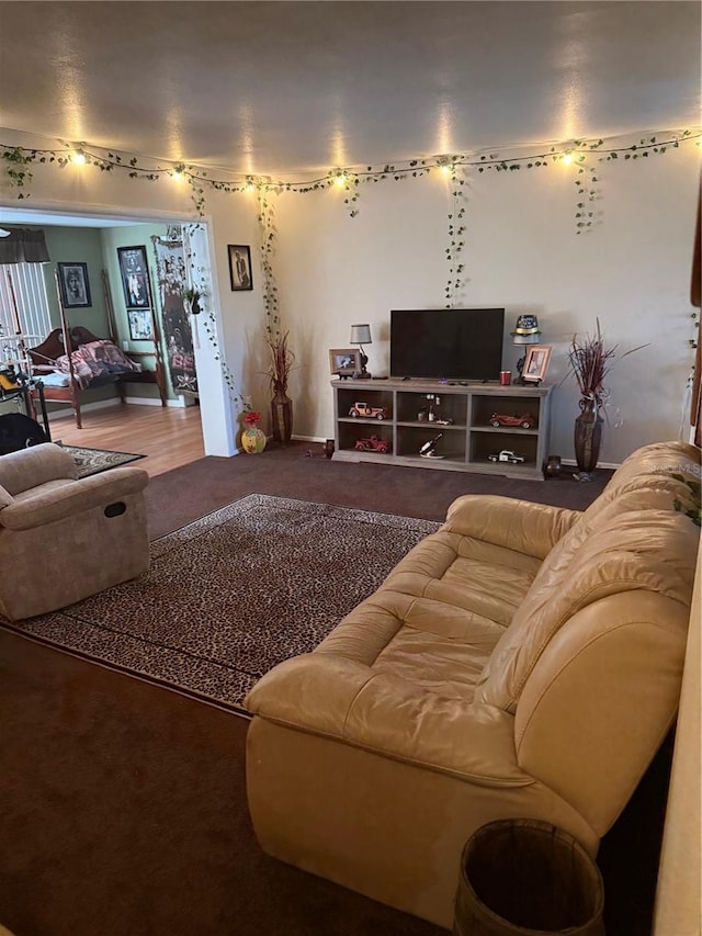 living room featuring hardwood / wood-style floors