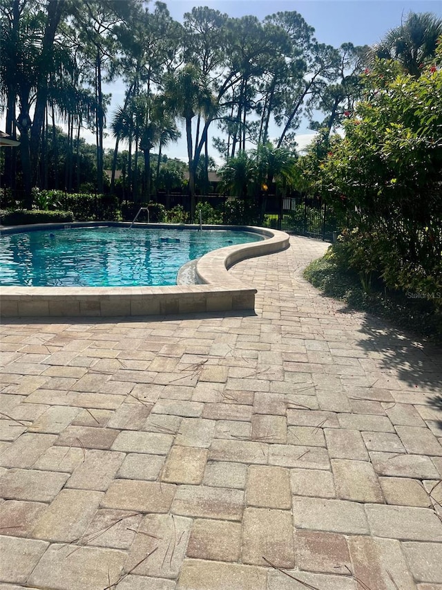 view of swimming pool with a patio area