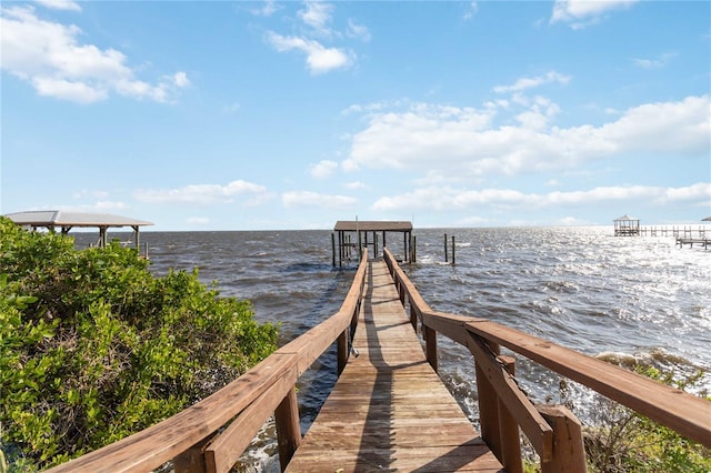 dock area with a water view