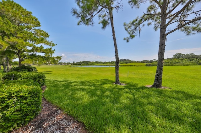 view of yard featuring a water view