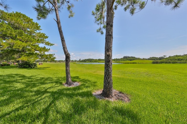 view of yard featuring a water view