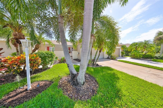 view of front of property with a front lawn