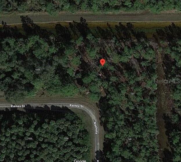 1225 Raines St E, Lehigh Acres FL, 33974 land for sale