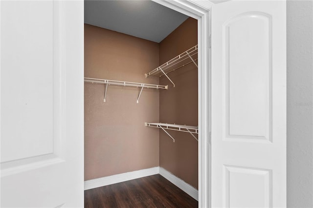 spacious closet featuring dark wood-type flooring