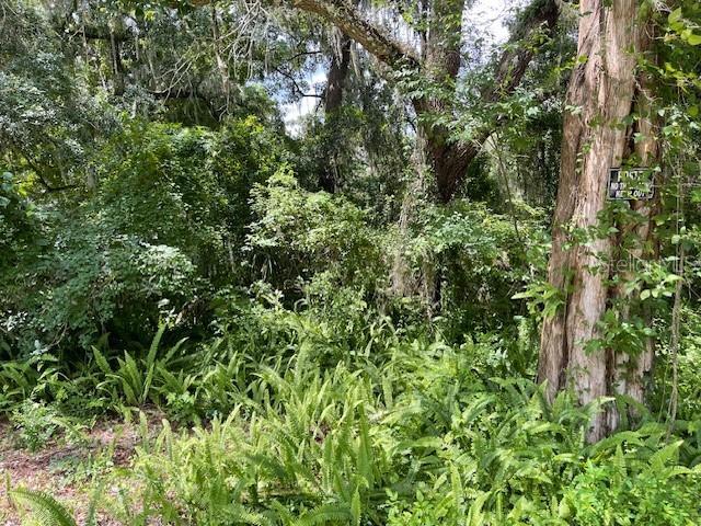 view of nature featuring a wooded view