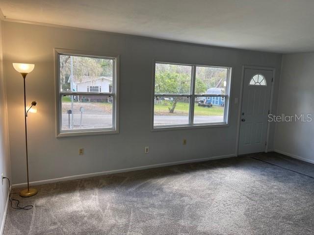 carpeted foyer with a healthy amount of sunlight and baseboards