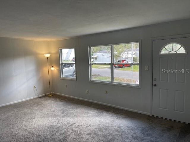 entrance foyer with baseboards and carpet floors