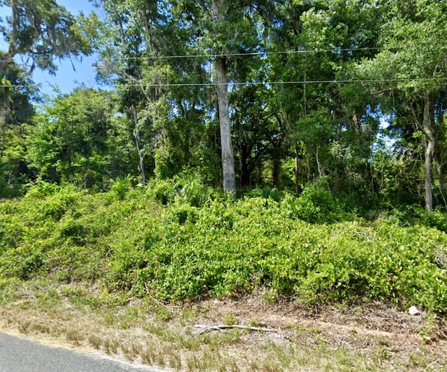 SE 41st Ter, Summerfield FL, 34491 land for sale