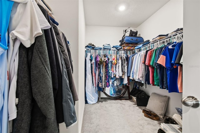 spacious closet with carpet flooring