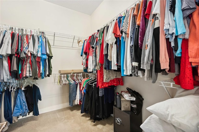 spacious closet with carpet