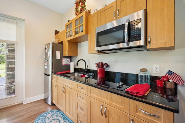 kitchen with appliances with stainless steel finishes, light hardwood / wood-style floors, and sink