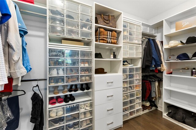 spacious closet featuring dark wood-type flooring