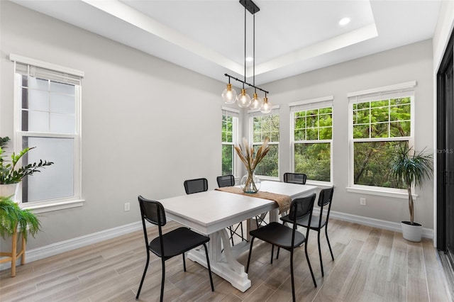 dining space featuring a raised ceiling and light hardwood / wood-style flooring