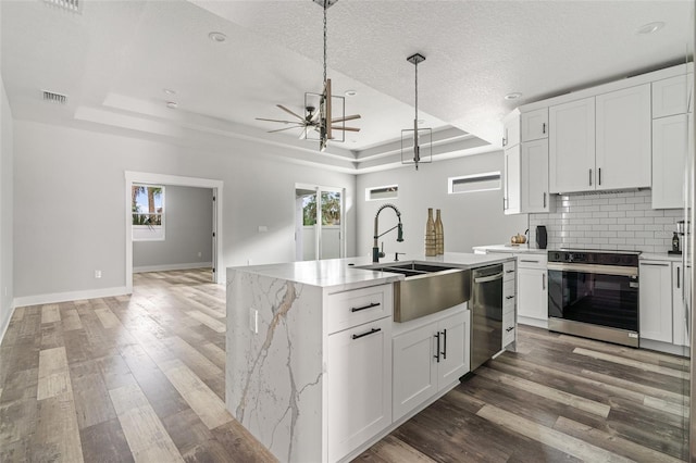 kitchen with a tray ceiling, appliances with stainless steel finishes, a sink, and white cabinetry