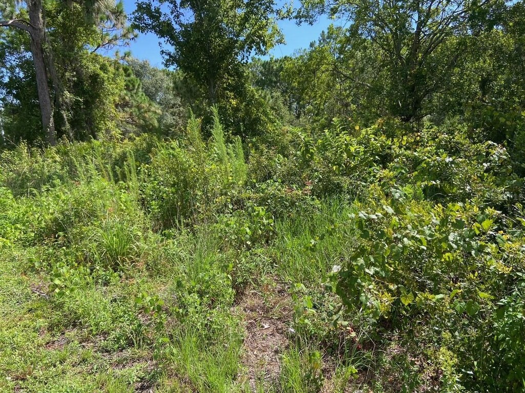 0 Old Gainesville Hwy, Interlachen, FL 32148