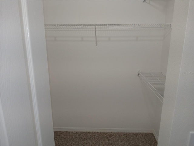 walk in closet featuring carpet