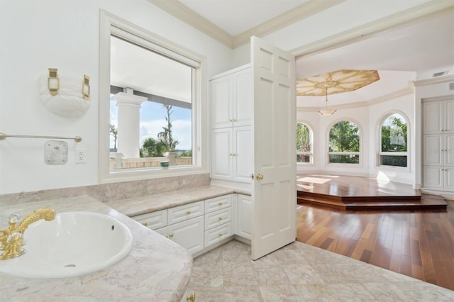 bathroom with visible vents, wood finished floors, crown molding, and vanity