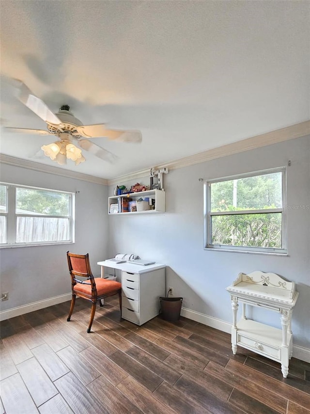 office area featuring ceiling fan, dark hardwood / wood-style floors, and crown molding