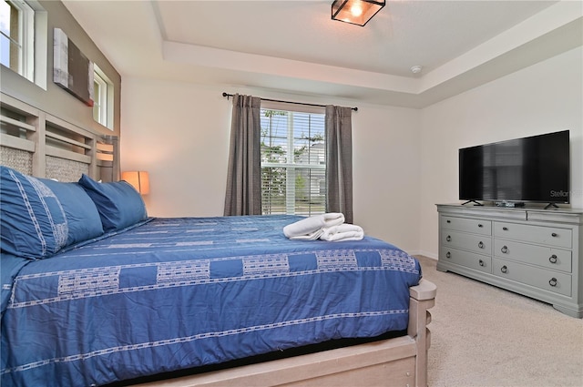 carpeted bedroom with a raised ceiling