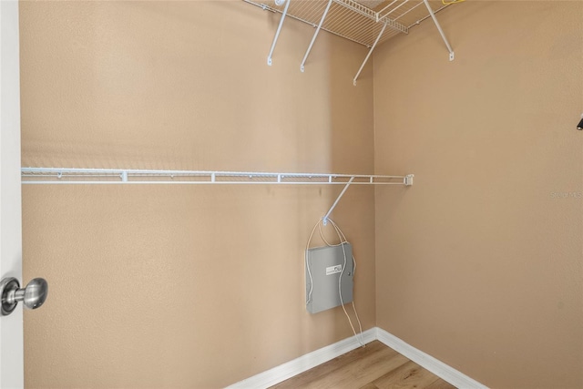 spacious closet with hardwood / wood-style flooring