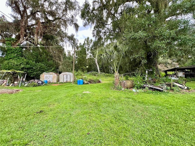 view of yard featuring a storage unit