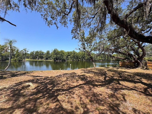 Harney, Tampa, FL 33617 - photo 4