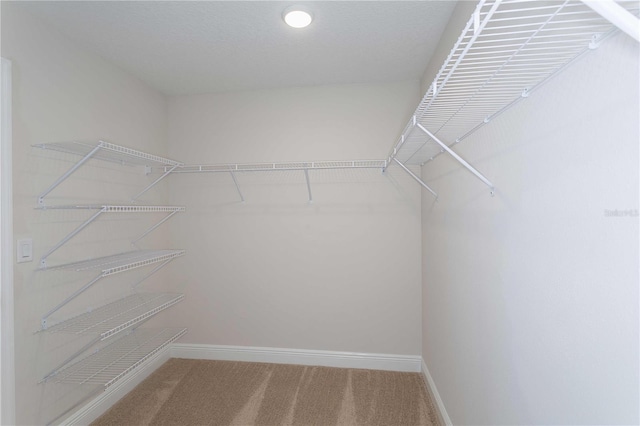 walk in closet featuring carpet