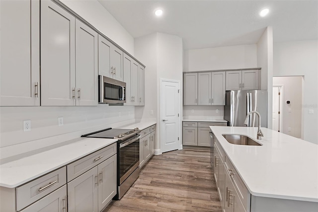 kitchen featuring gray cabinetry, light hardwood / wood-style flooring, stainless steel appliances, and sink