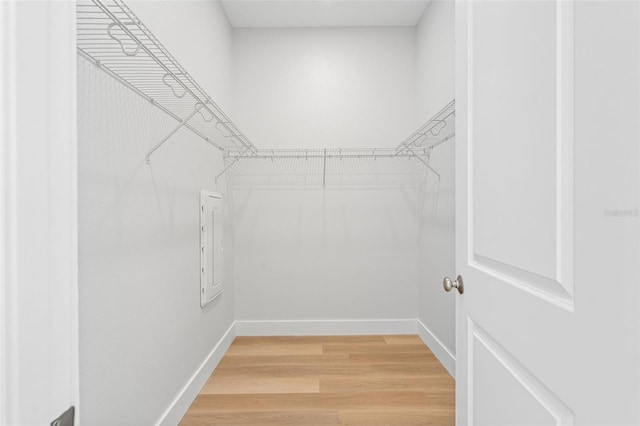 spacious closet featuring hardwood / wood-style floors and electric panel