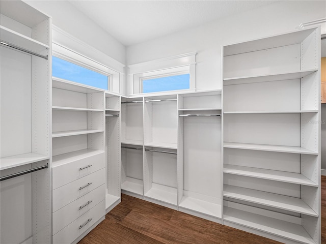 spacious closet featuring dark wood-type flooring