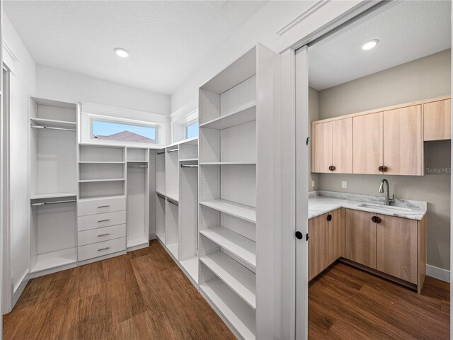 spacious closet featuring sink and dark wood-type flooring