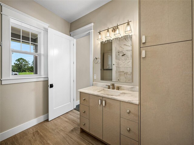 bathroom featuring wood-type flooring and vanity