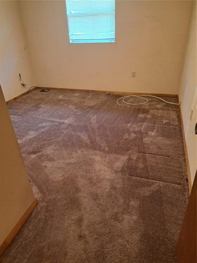 spare room with carpet