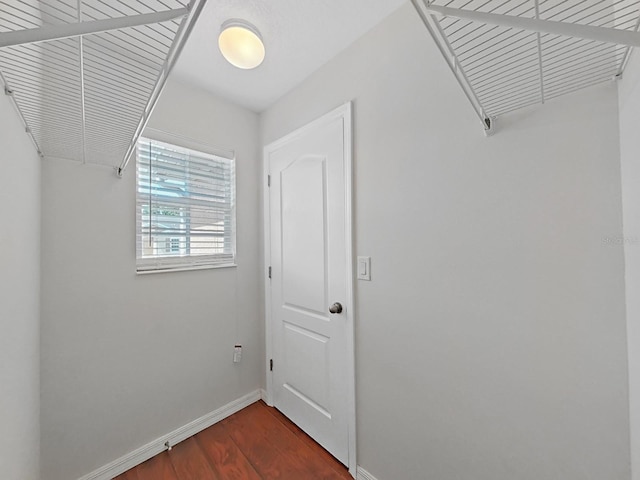 spacious closet with dark hardwood / wood-style floors