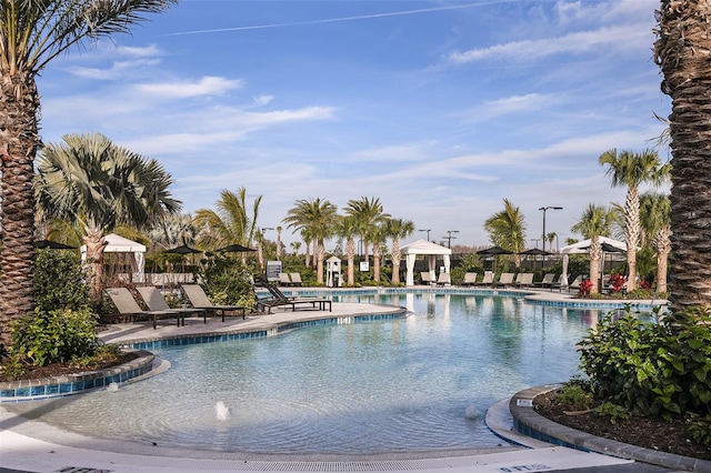 view of pool with a patio