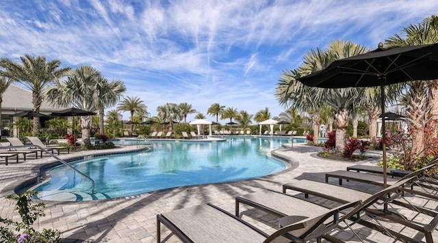 view of pool featuring a patio