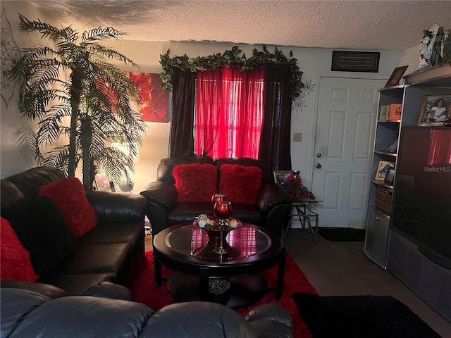 living area with a textured ceiling