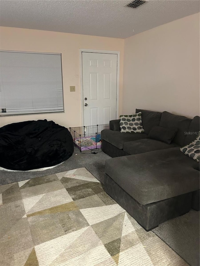 carpeted living room with visible vents and a textured ceiling