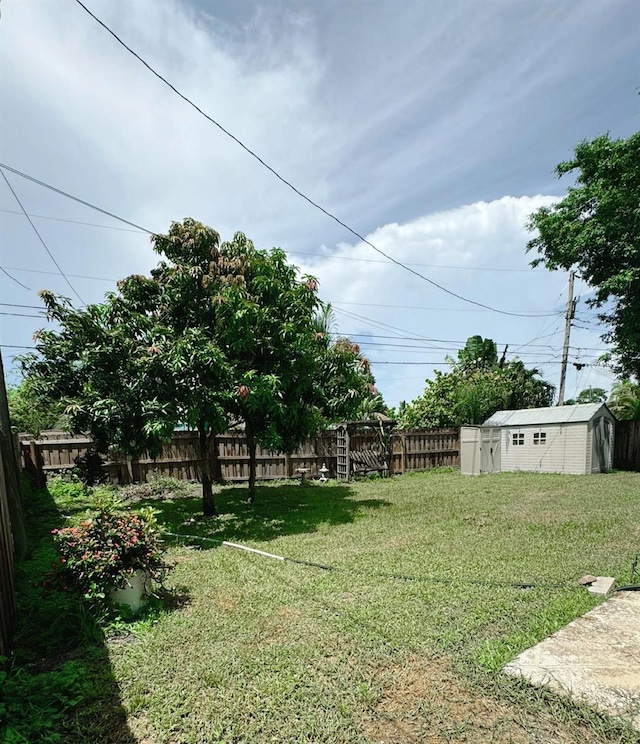 view of yard featuring a storage shed