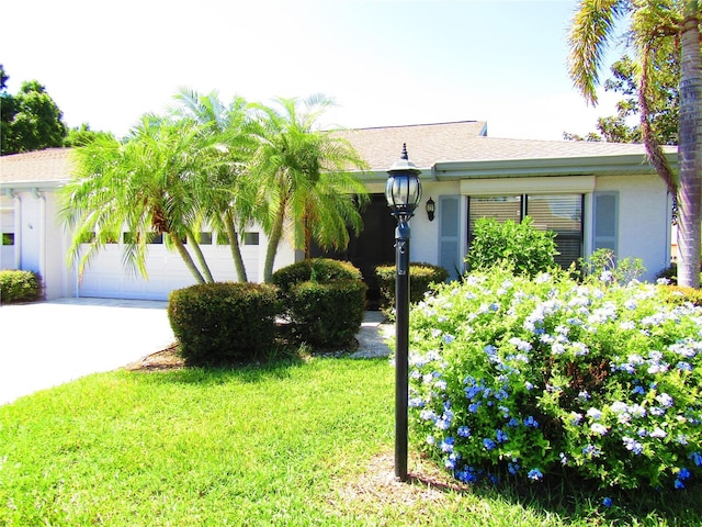 view of front of house featuring a front yard