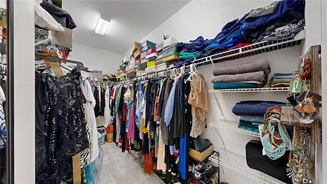 walk in closet featuring carpet flooring