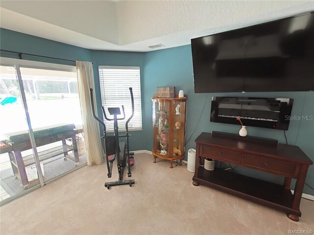 1874 W Pearson St, Hernando, FL 34442 - workout room featuring light carpet