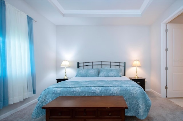 carpeted bedroom featuring a tray ceiling