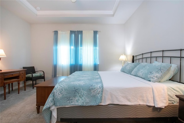 carpeted bedroom with a raised ceiling