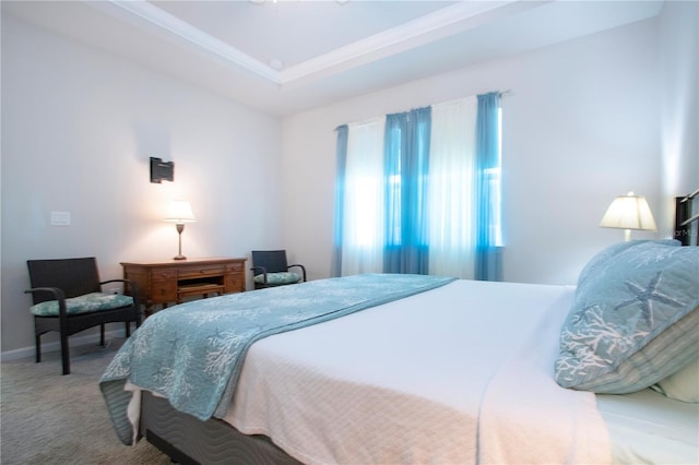 carpeted bedroom featuring a tray ceiling