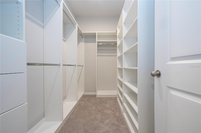 walk in closet with light colored carpet