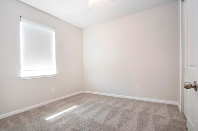 spare room featuring ceiling fan and carpet flooring