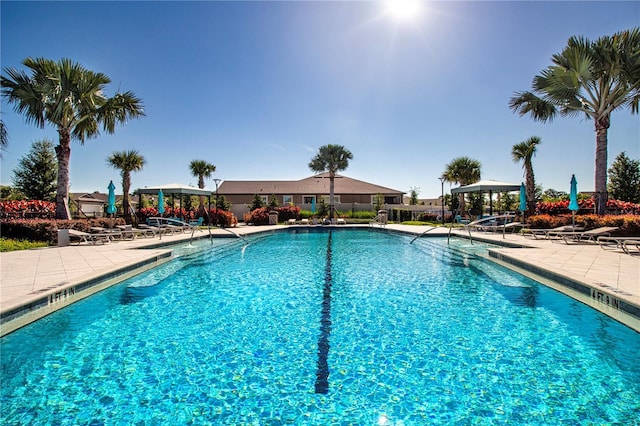 view of swimming pool with a gazebo and a patio area