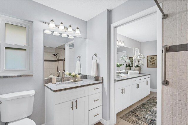 bathroom featuring vanity, wood-type flooring, and toilet