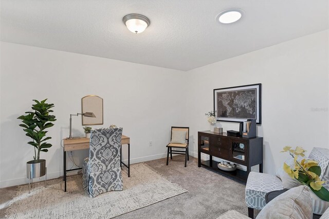 office space with light carpet and a textured ceiling